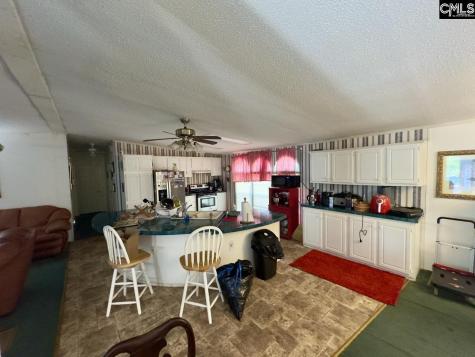 1 Avocet Court Columbia SC 29203