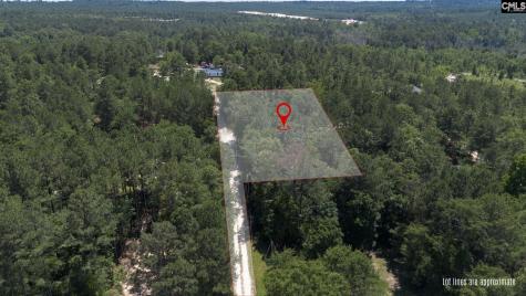 580 Boiling Springs Road Lexington SC 29073