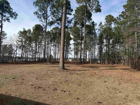237 Shadow Dale Drive Gaston SC 29053