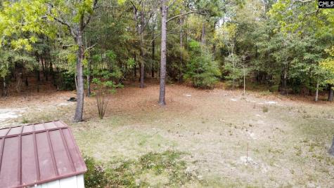 134 Wilma Ann Drive Lexington SC 29073