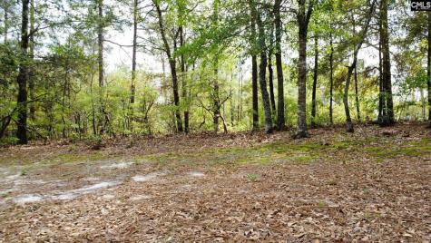 134 Wilma Ann Drive Lexington SC 29073