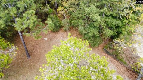 134 Wilma Ann Drive Lexington SC 29073