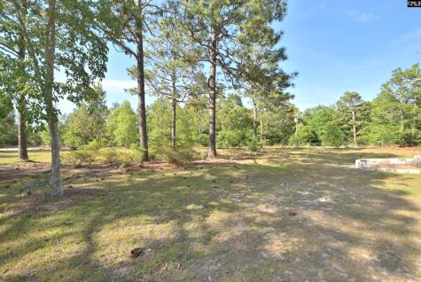 518 Pat Road Lexington SC 29073