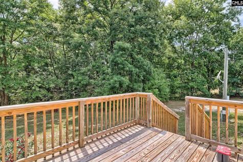 534 Irvin Jumper Street Gaston SC 29053