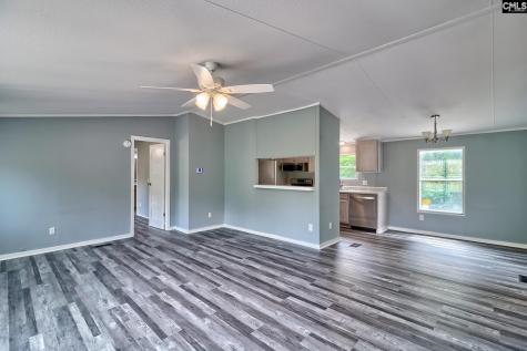 534 Irvin Jumper Street Gaston SC 29053
