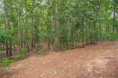 222 Gloria Trail Columbia SC 29203