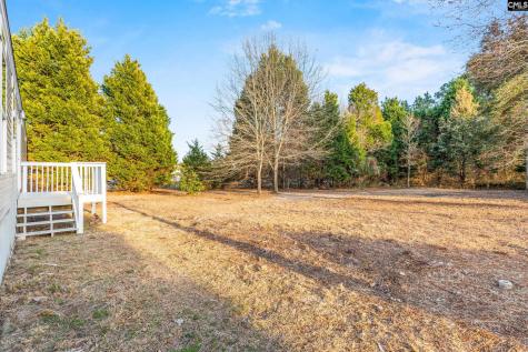 251 Crossfield Road Gaston SC 29053