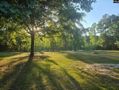 1094 Carrie Lynn Drive Manning SC 29102