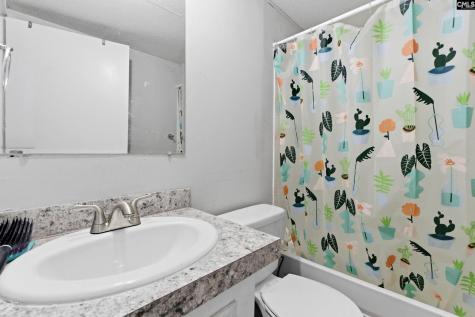 138 Mimosa Drive Gaston SC 29053