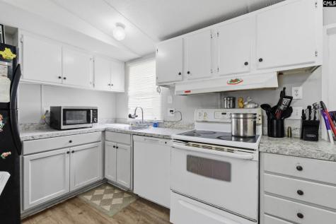 138 Mimosa Drive Gaston SC 29053