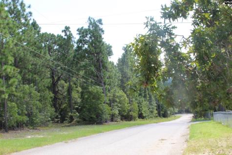 164 Dowd Drive Gaston SC 29053