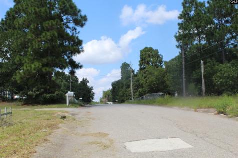 164 Dowd Drive Gaston SC 29053
