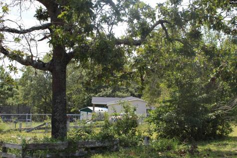 164 Dowd Drive Gaston SC 29053