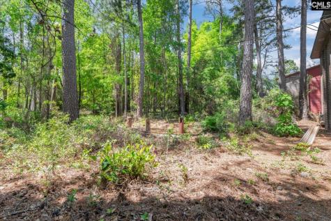 215 Windsor Point Road Columbia SC 29223