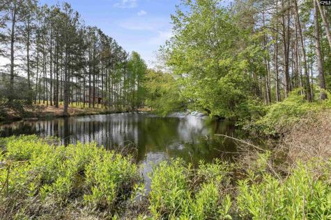 222 Falling Leaves Lane Blythewood SC 29016