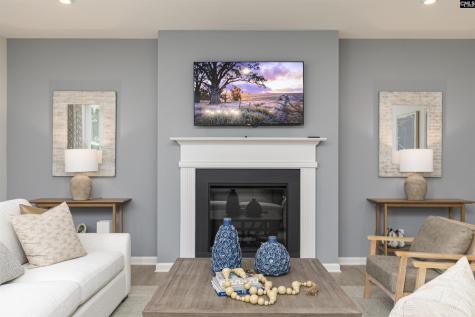 285 Summer Orchard Drive Lexington SC 29072