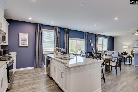 285 Summer Orchard Drive Lexington SC 29072