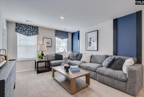 285 Summer Orchard Drive Lexington SC 29072