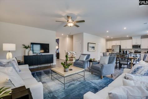 285 Summer Orchard Drive Lexington SC 29072
