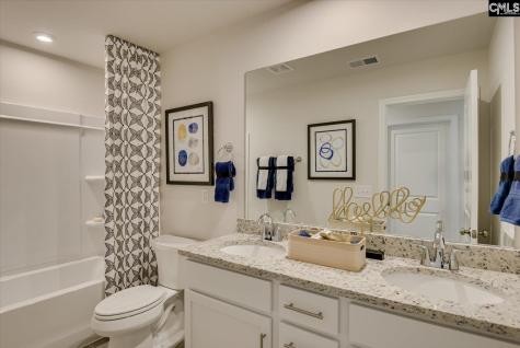 285 Summer Orchard Drive Lexington SC 29072