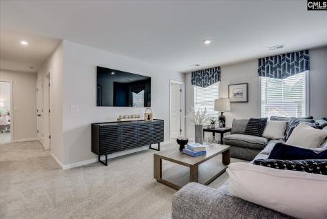 285 Summer Orchard Drive Lexington SC 29072