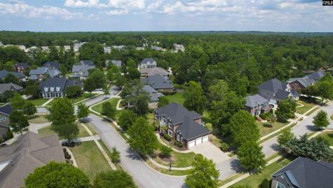 149 Lakeport Drive Chapin SC 29036