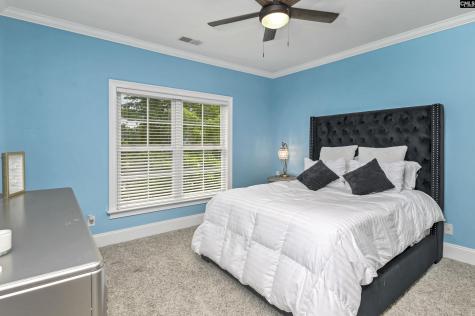 149 Lakeport Drive Chapin SC 29036