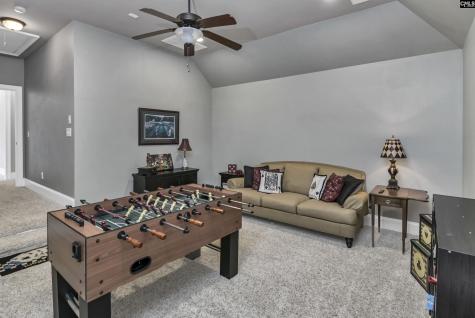 149 Lakeport Drive Chapin SC 29036