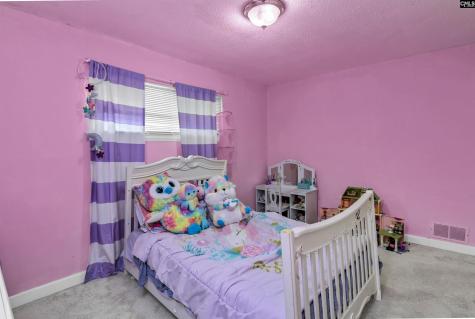 1841 Winsor Hills Drive Columbia SC 29204