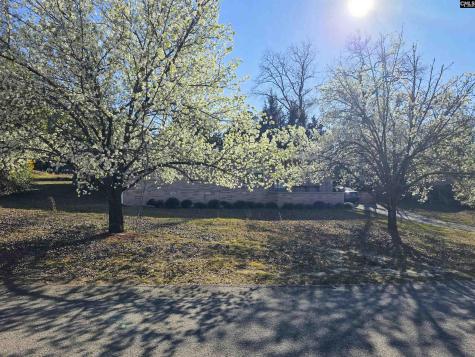 1841 Winsor Hills Drive Columbia SC 29204