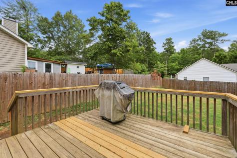 504 Beech Branch Drive Irmo SC 29063