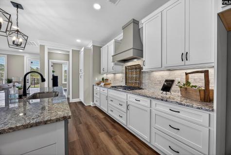 2028 Shallow Bluff Court Lexington SC 29072-6706