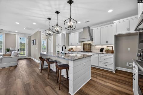 2028 Shallow Bluff Court Lexington SC 29072-6706