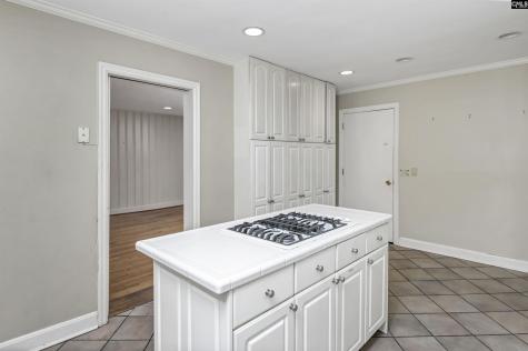 1141 Eastminster Drive Columbia SC 29204