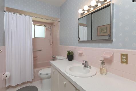 4210 Willingham Drive Columbia SC 29206