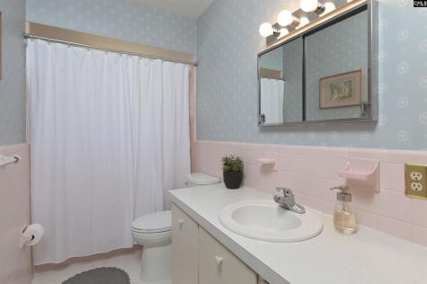 4210 Willingham Drive Columbia SC 29206