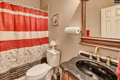 246 Woodmill Circle Lexington SC 29072