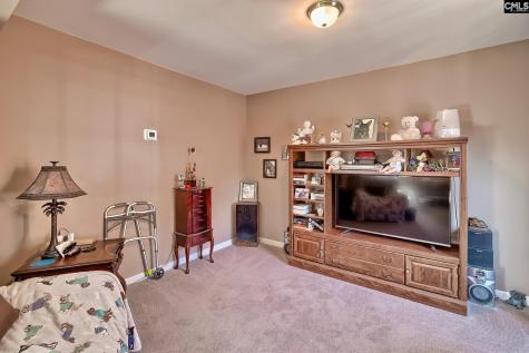 246 Woodmill Circle Lexington SC 29072