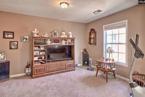 246 Woodmill Circle Lexington SC 29072