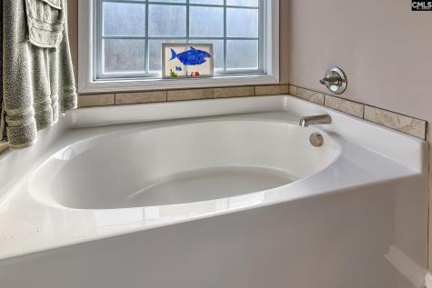 246 Woodmill Circle Lexington SC 29072