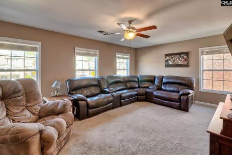 246 Woodmill Circle Lexington SC 29072