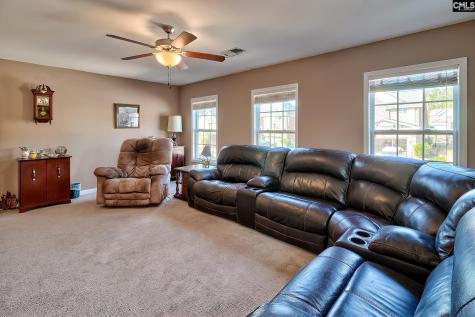 246 Woodmill Circle Lexington SC 29072