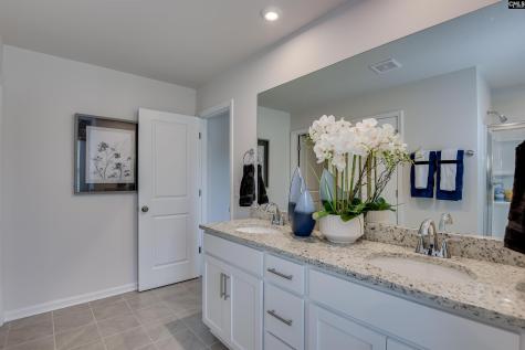 28 Spider Web Court Blythewood SC 29016
