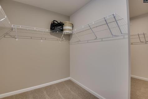 28 Spider Web Court Blythewood SC 29016