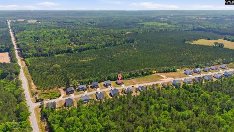111 Tall Pines Road Gaston SC 29053
