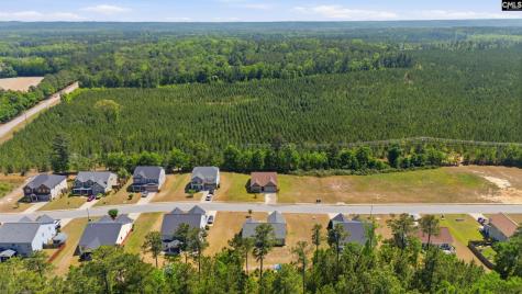 111 Tall Pines Road Gaston SC 29053