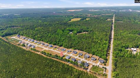 111 Tall Pines Road Gaston SC 29053