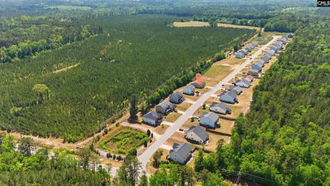 111 Tall Pines Road Gaston SC 29053