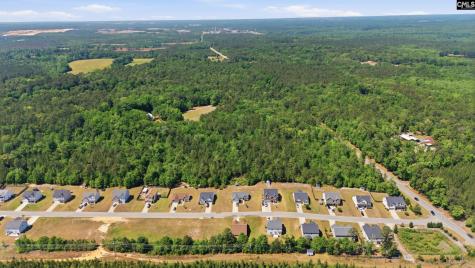 111 Tall Pines Road Gaston SC 29053