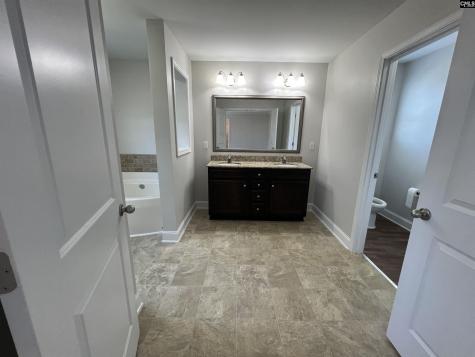 250 Meadow Saffron Drive Lexington SC 29073